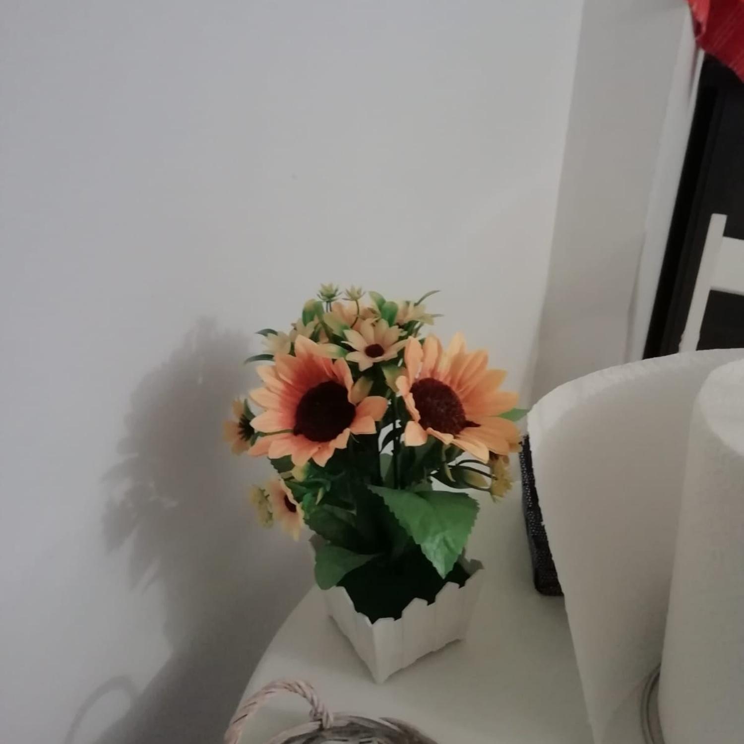 Affection Apartment Bolonia Zewnętrze zdjęcie